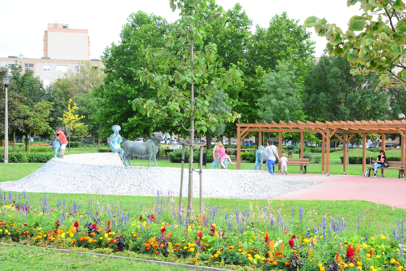 Egynyári virágok színkavalkádja a Petőfi parkban